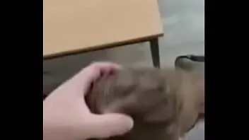 Reproducir Chupando al profesor para obtener mejores notas